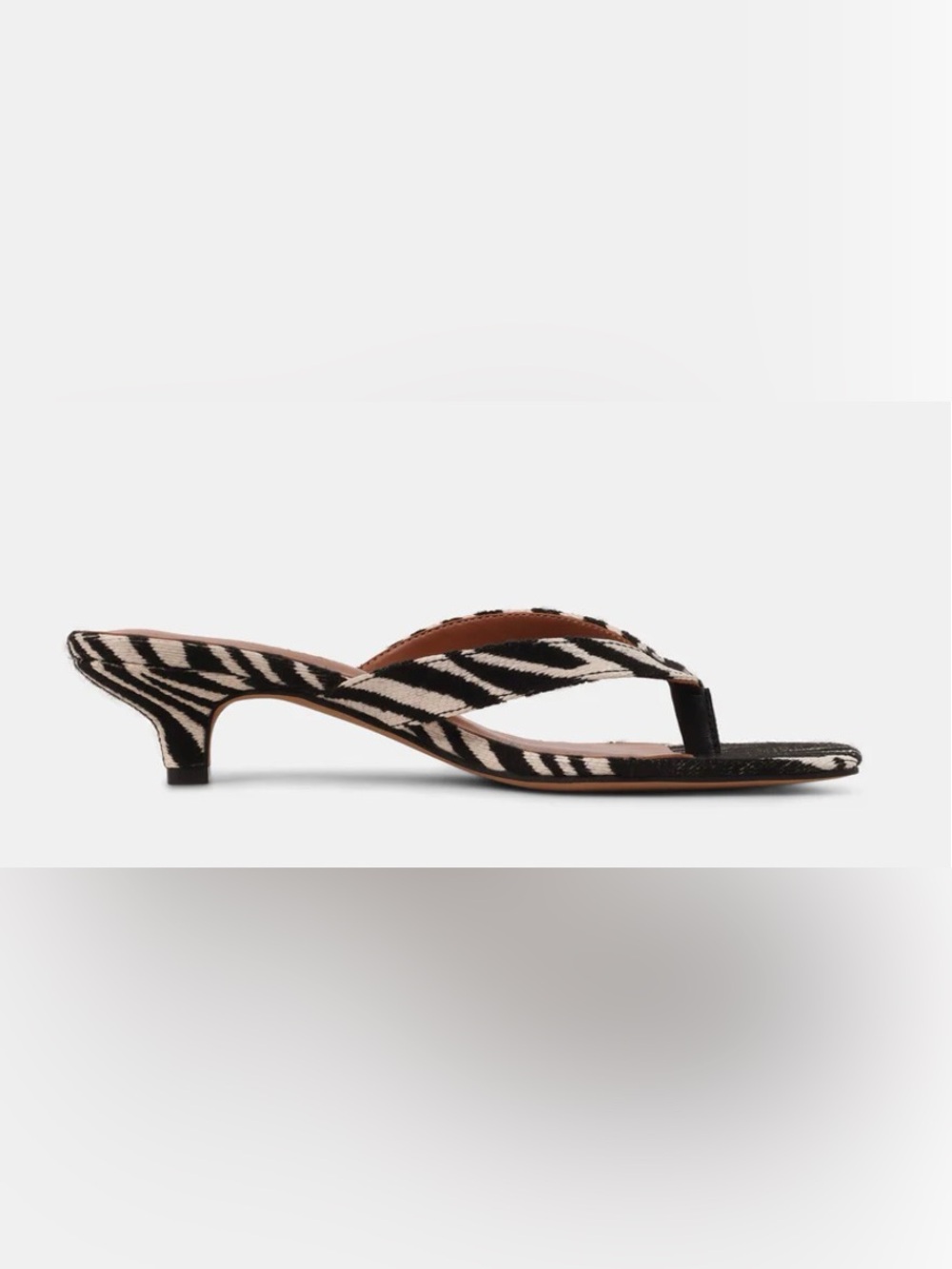 Tracie-z zebra - Picture 3 of 4